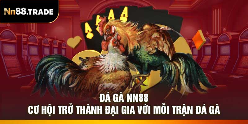 Đá Gà NN88 – Cơ Hội Trở Thành Đại Gia Với Mỗi Trận Đá Gà